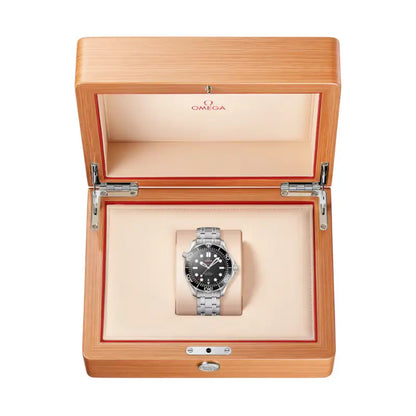 Seamaster Professional Diver 300M