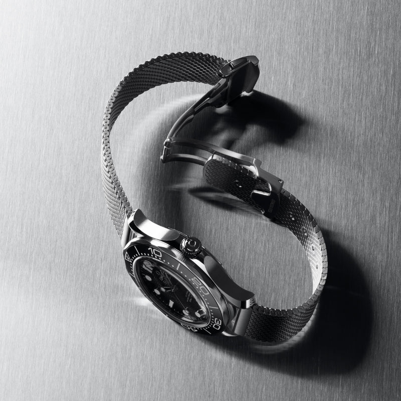 Seamaster Diver 300M