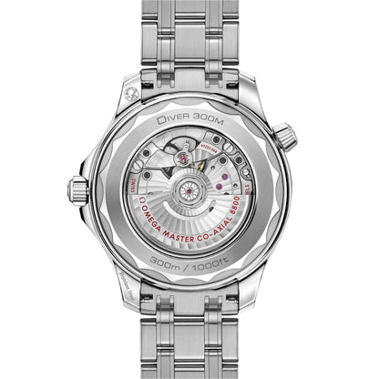 Seamaster Diver 300M